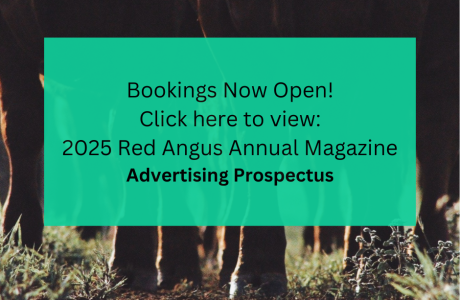 2025 Annual Magazine Prospectus (2)